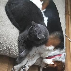 Meet your Posher, Shannon